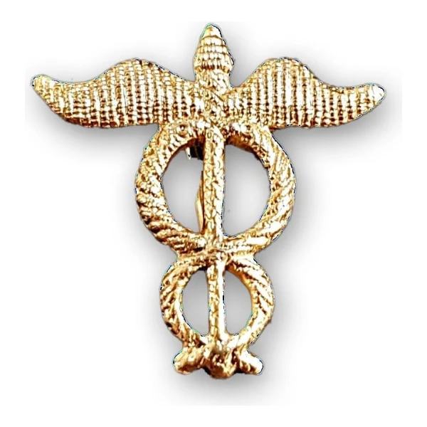 Distintivo Pin Metálico Arma Ejército Argentino - Imagen 10